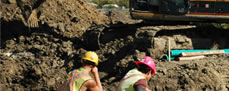Workers Working